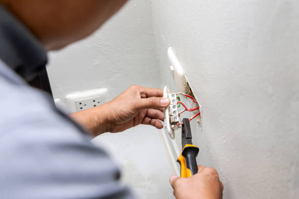 Best Local Electrician Companies  in Zephyrhills, FL